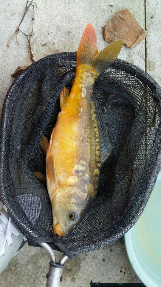 KakaoTalk_20160508_104850488.jpg