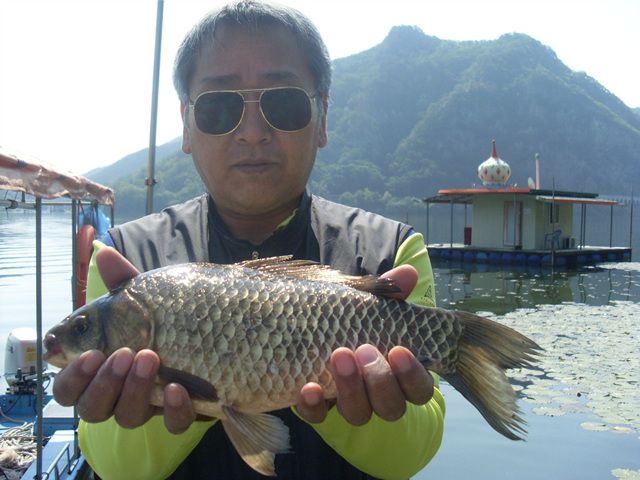 토종은 36cm외,떡은 43쌍으로.