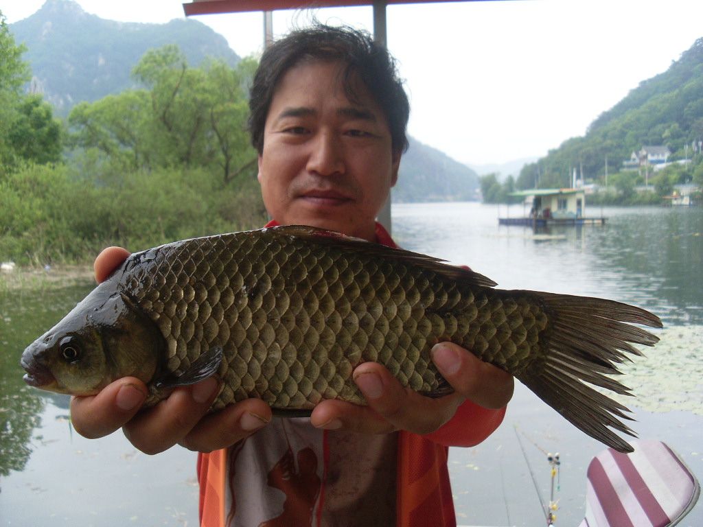 5월의 마지막 주말 조황 입니다.