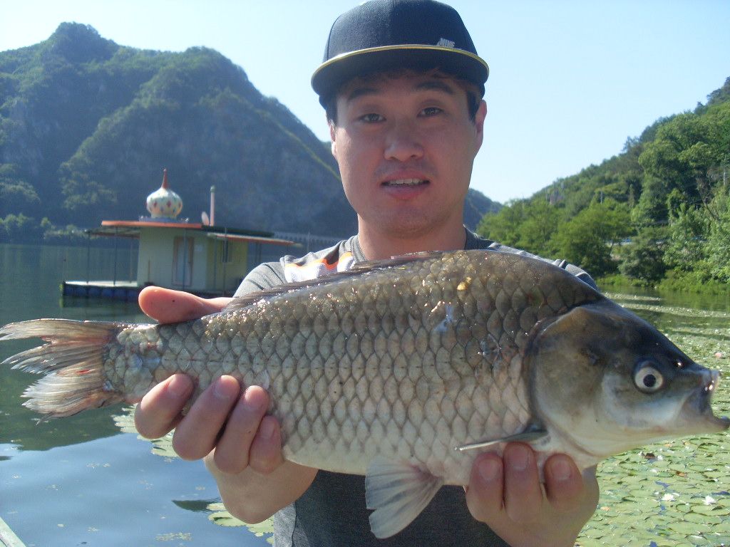 호국의 달 첫 조황 입니다.