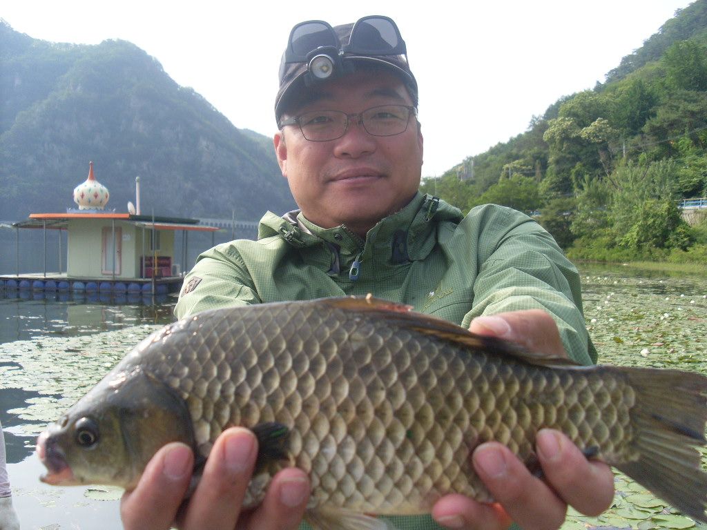 봄 포인트의 마지막 조황입니다.