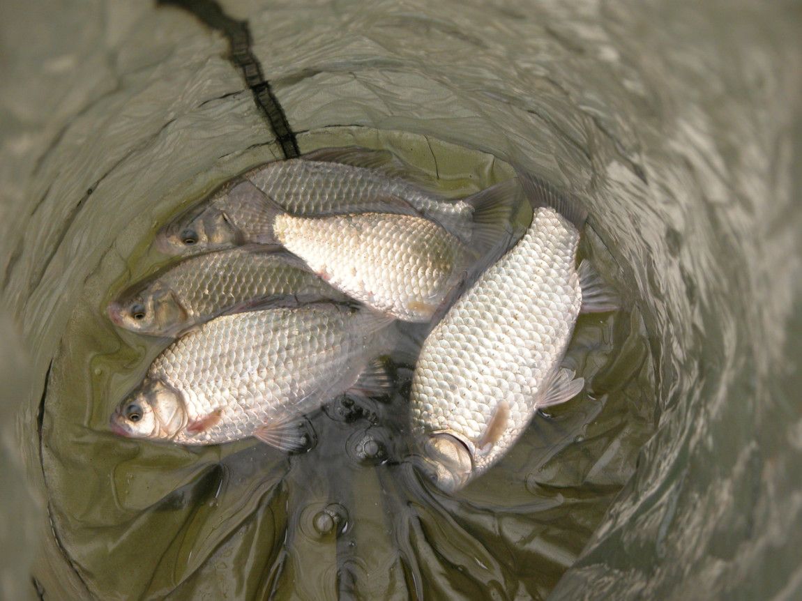 이사 했습니다.