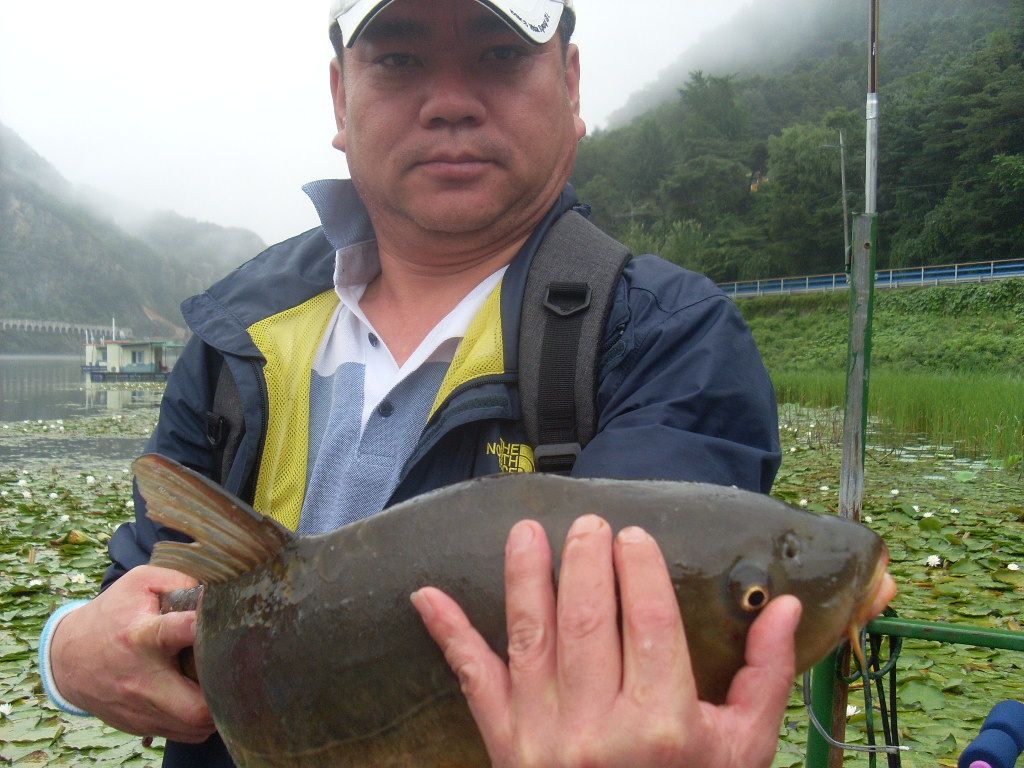 올리는데만 30분 걸리셨다고 하시네요.