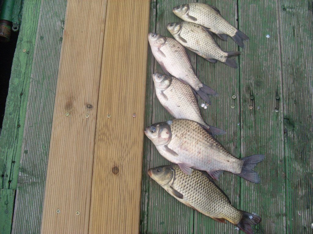 여름 휴가를 기대하면서 ...