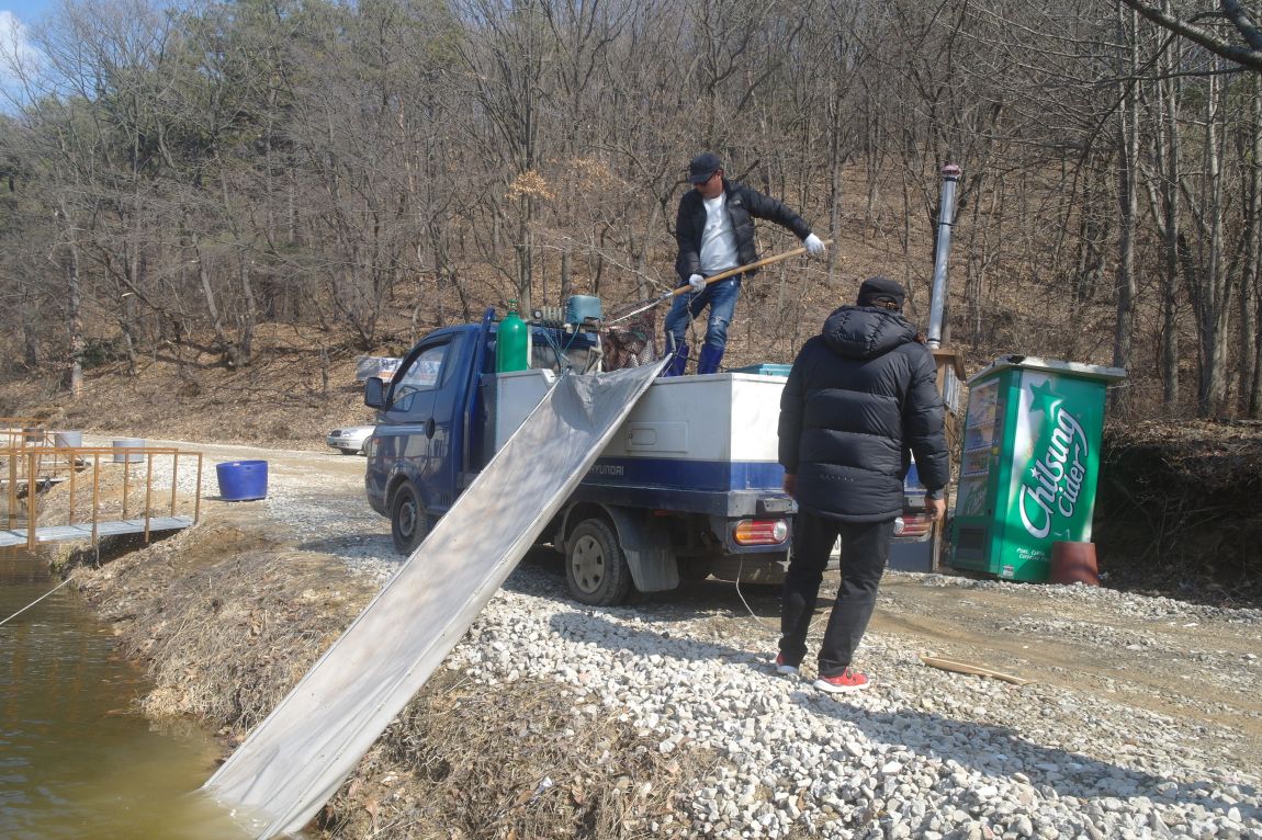 ◐완전히 해빙된 지곡지 모습◐ : 낚시사랑