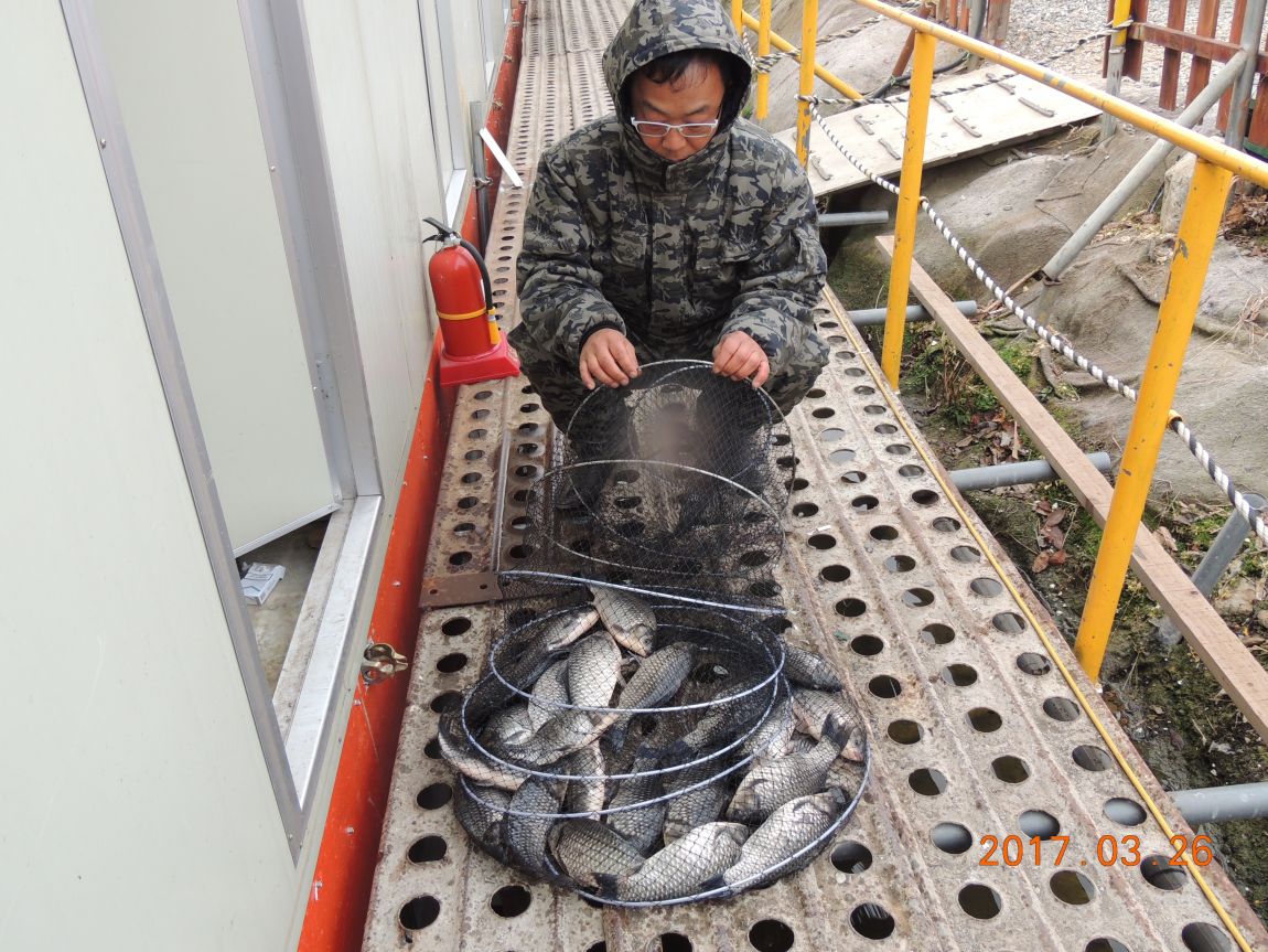 DSCN4033.JPG