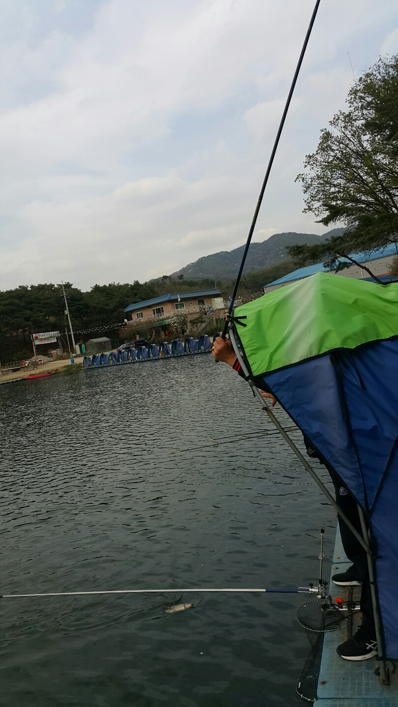 KakaoTalk_20170421_083640551.jpg
