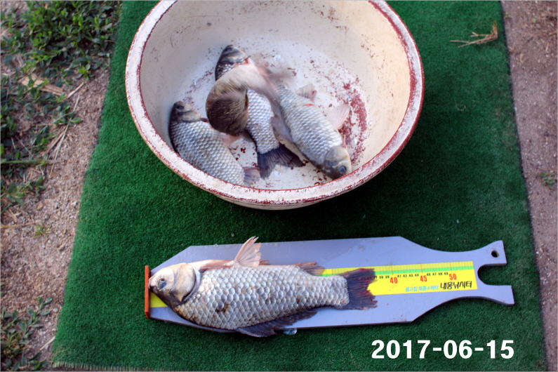 Å©±âº¯È¯IMG_7206.jpg