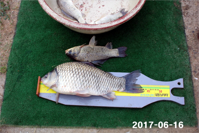 Å©±âº¯È¯IMG_7239.jpg