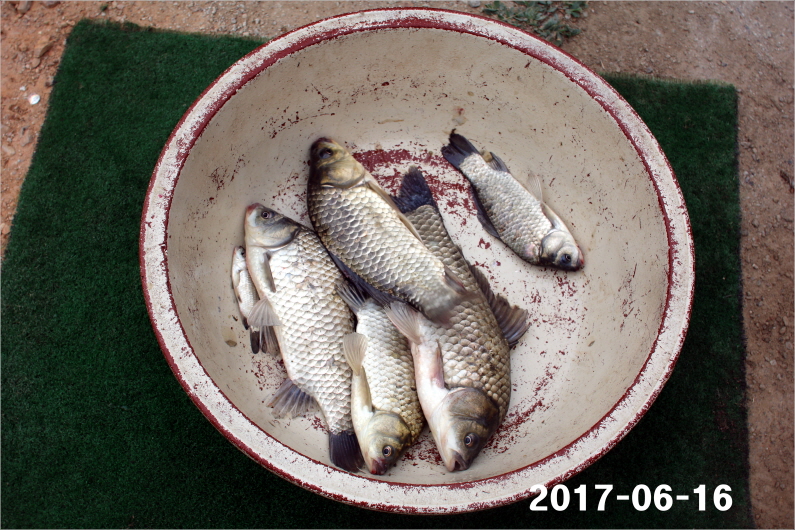 Å©±âº¯È¯IMG_7244.jpg