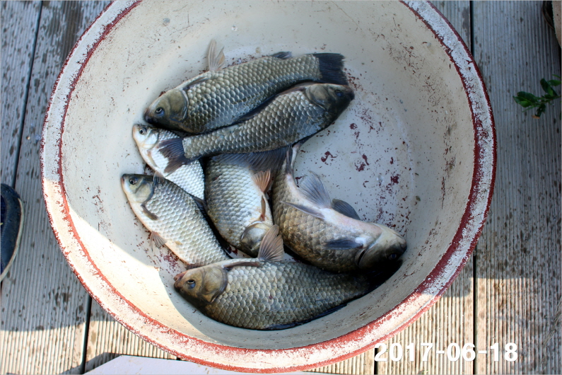 Å©±âº¯È¯IMG_7444.jpg