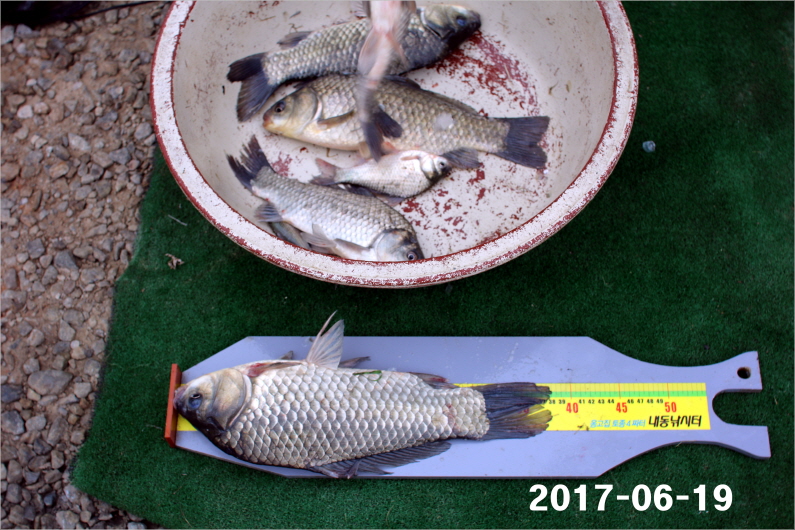 Å©±âº¯È¯IMG_7464.jpg