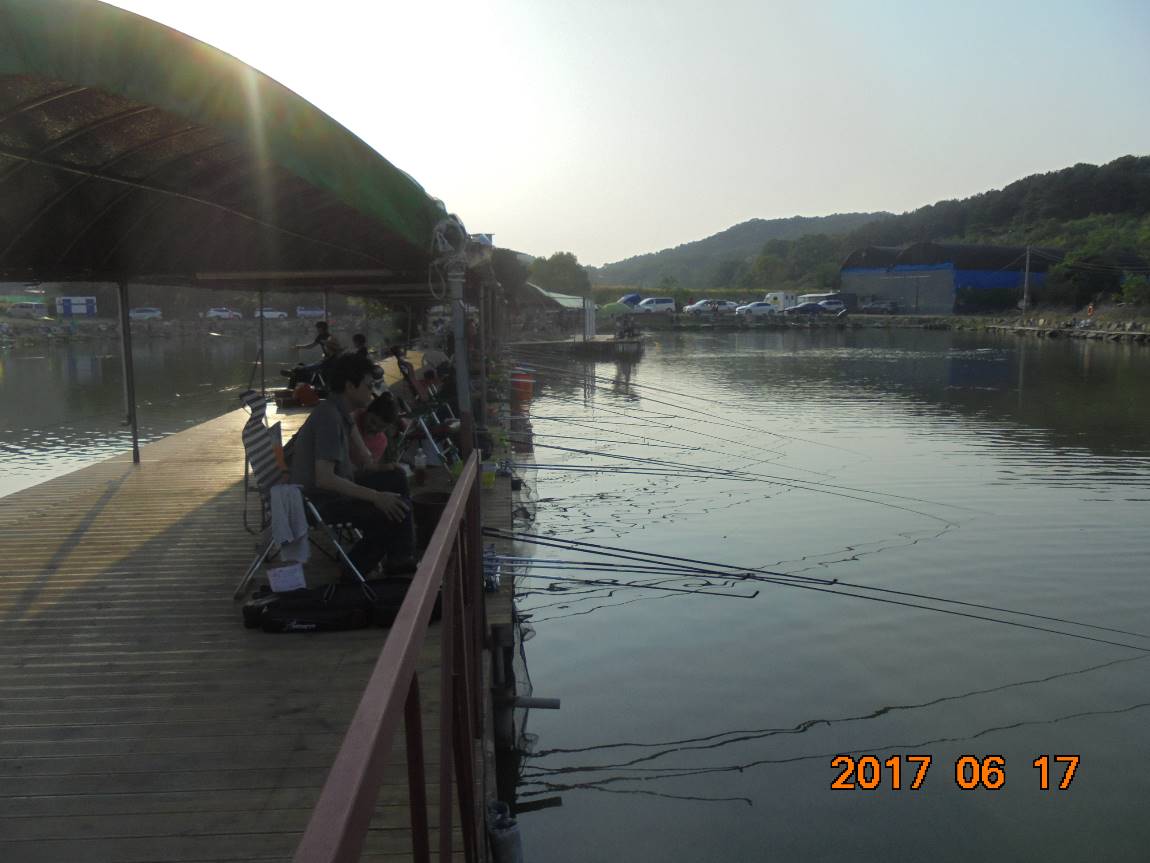 DSC01181.JPG