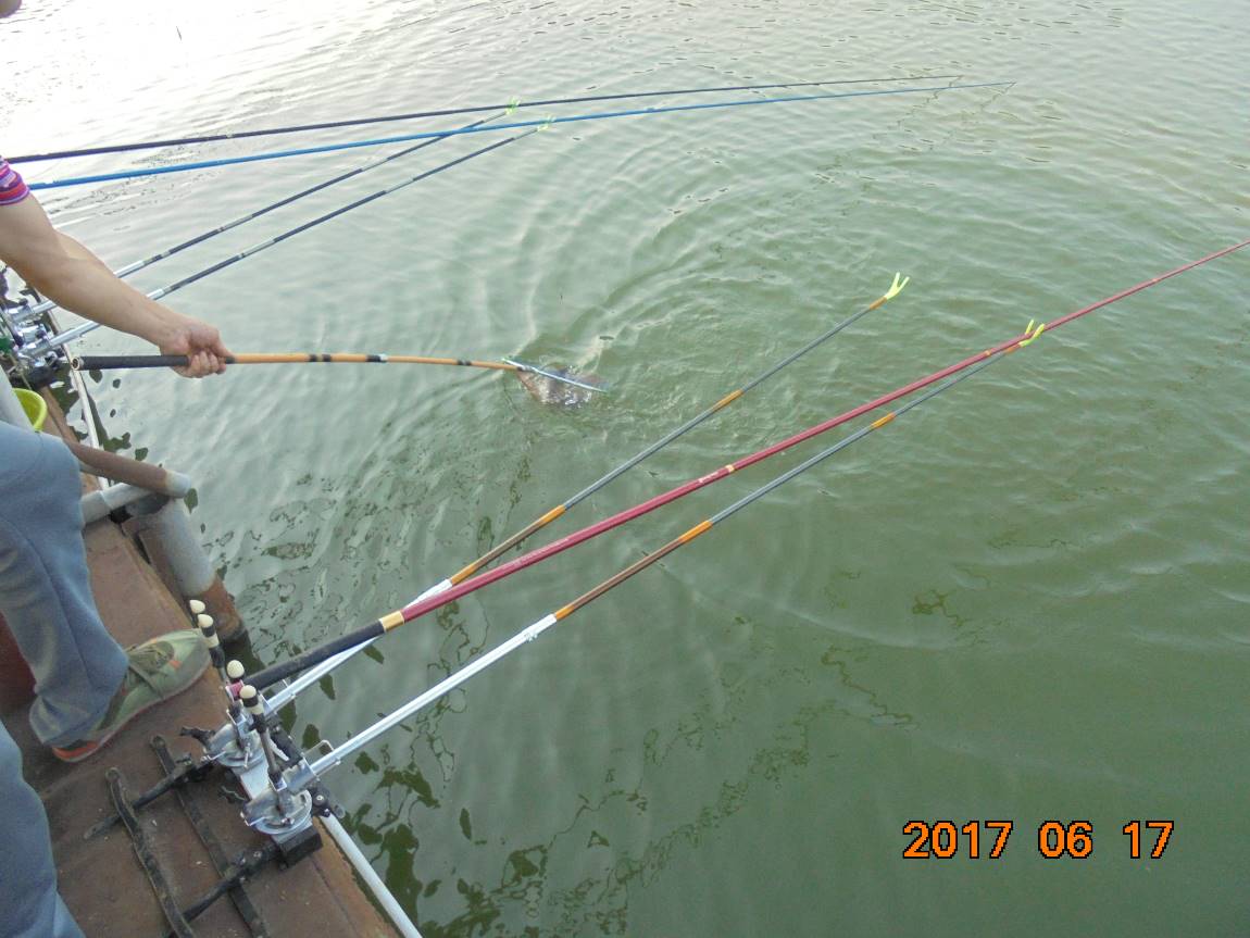 DSC01186.JPG