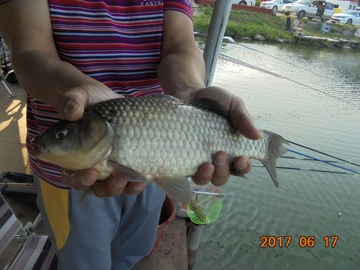 DSC01188.JPG