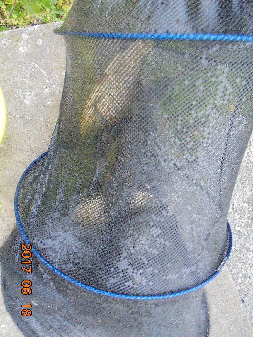 DSC01200.JPG