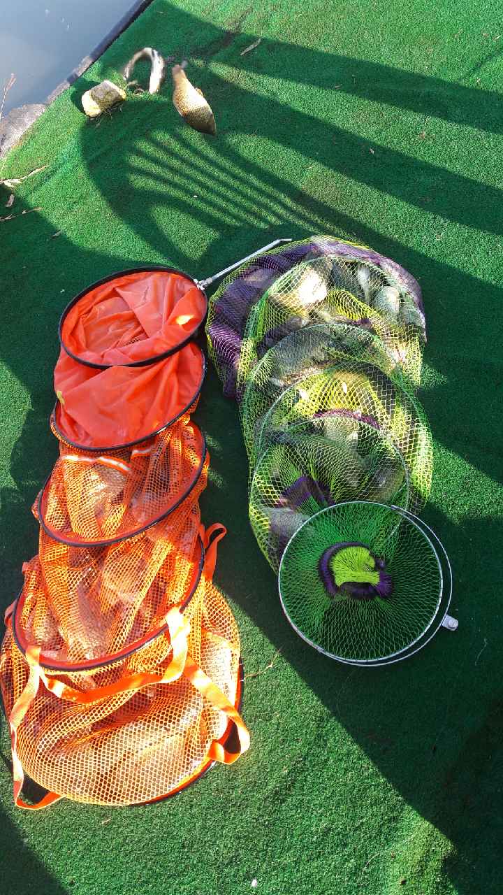 Resized_20170921_074834.jpeg