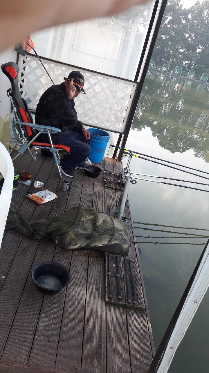 Resized_20170922_080552.jpeg