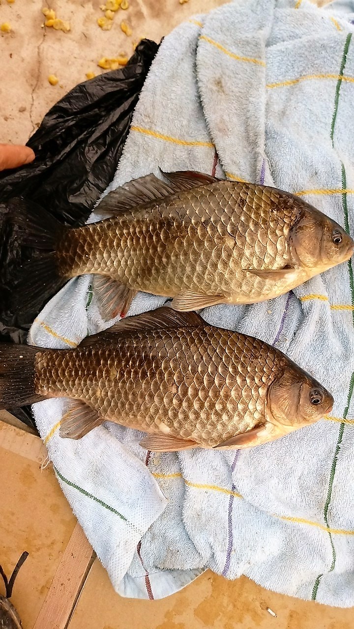 KakaoTalk_20180327_110354083.jpg