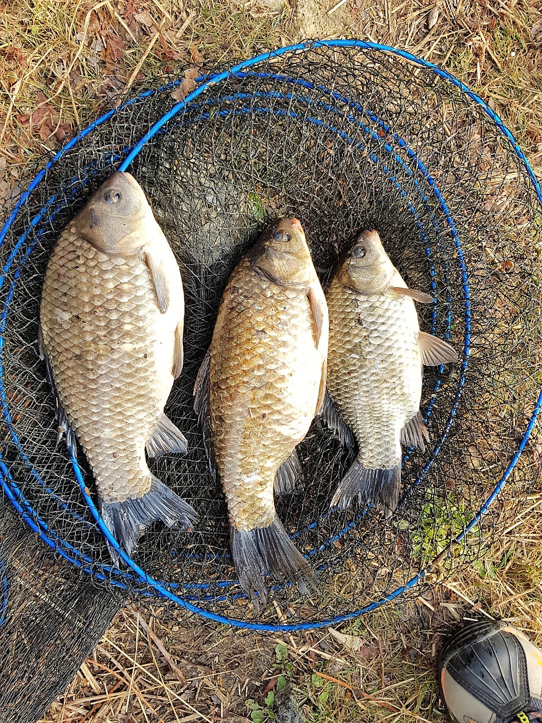 KakaoTalk_20180327_110410874.jpg