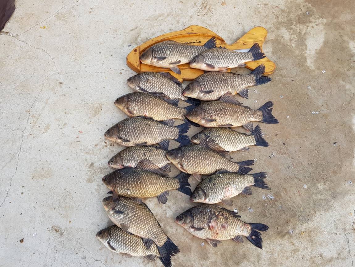 KakaoTalk_20180329_124542409.jpg