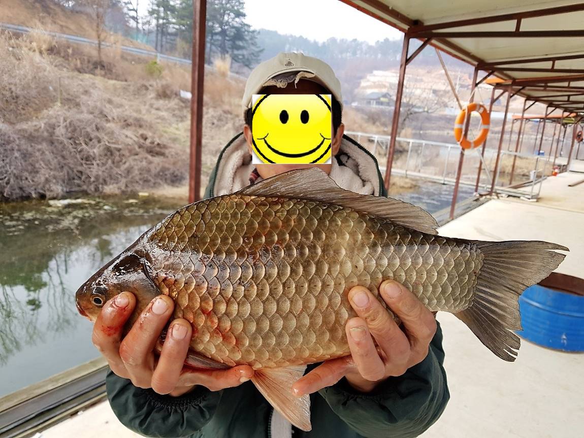 KakaoTalk_20180331_082822956.jpg