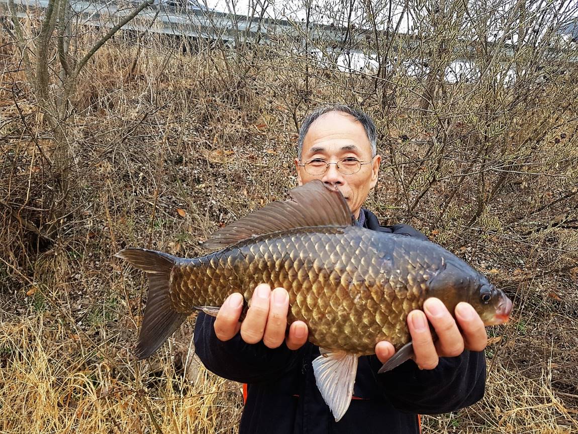 KakaoTalk_20180331_082828310.jpg