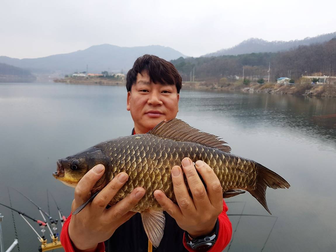KakaoTalk_20180402_084323913.jpg