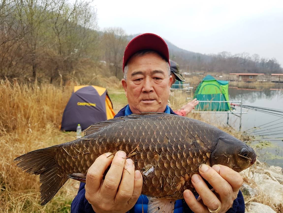 KakaoTalk_20180402_084320509.jpg