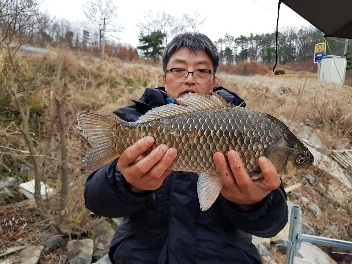 KakaoTalk_20180403_091457326.jpg