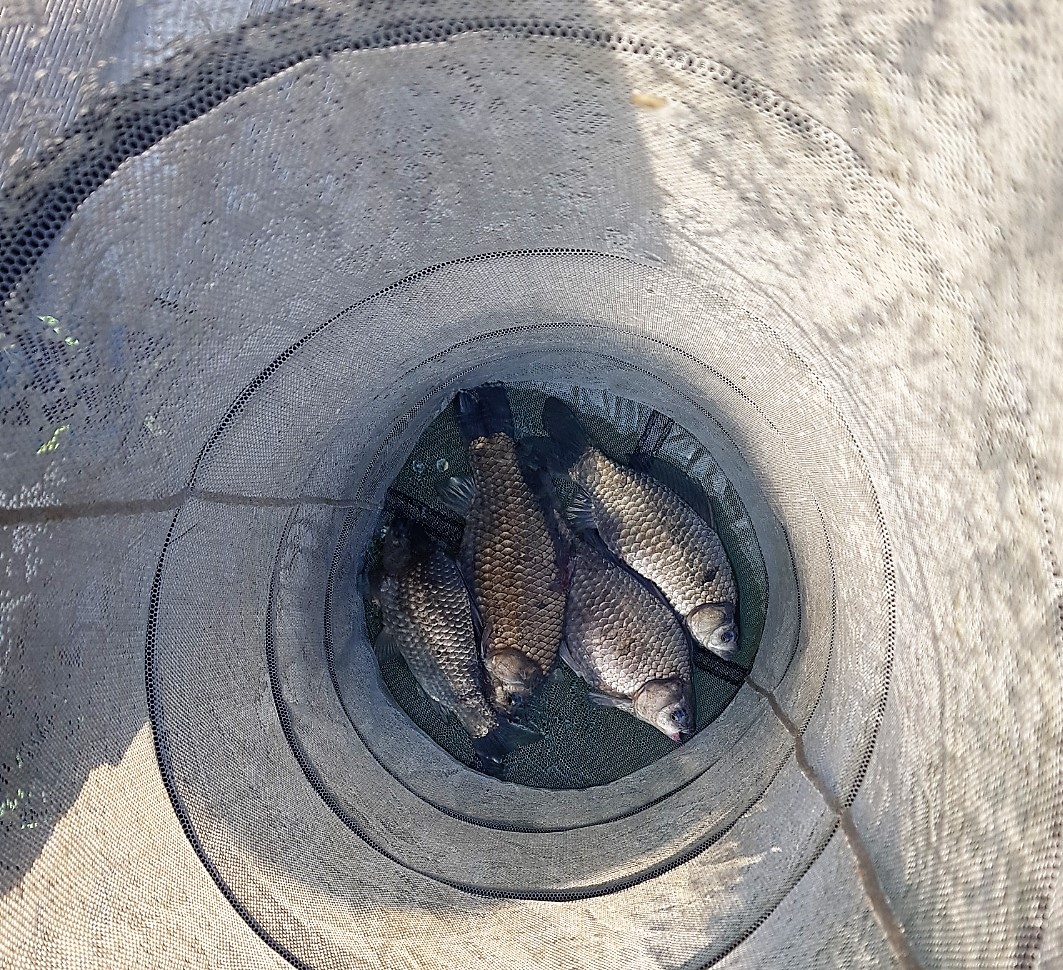 KakaoTalk_20180418_083322865.jpg