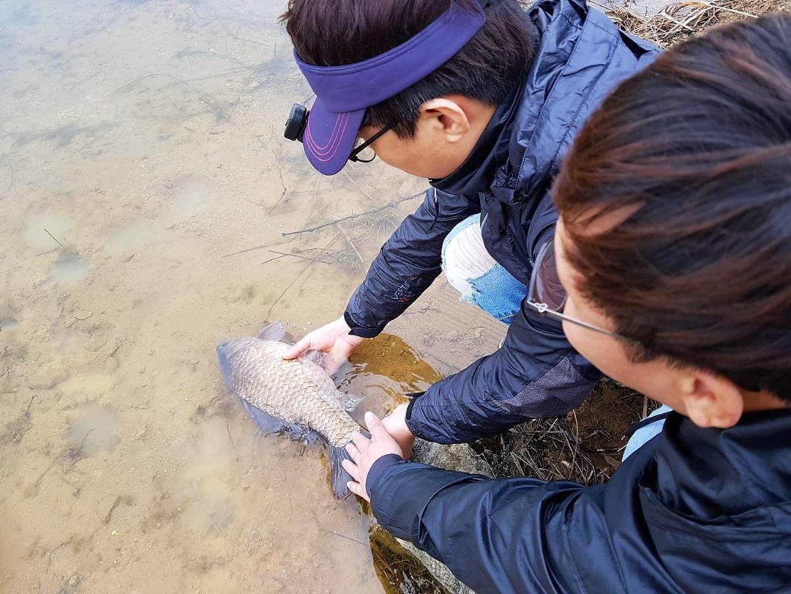 KakaoTalk_20180423_112806459.jpg