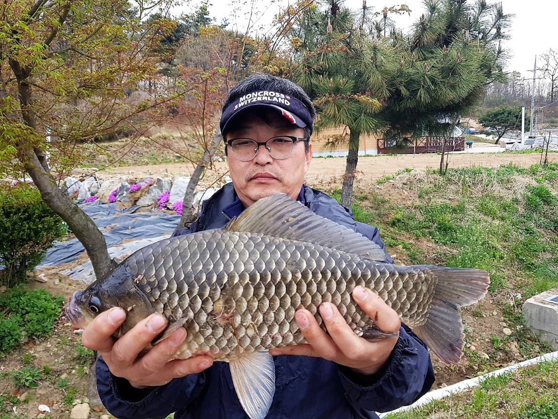 KakaoTalk_20180423_111016008.jpg