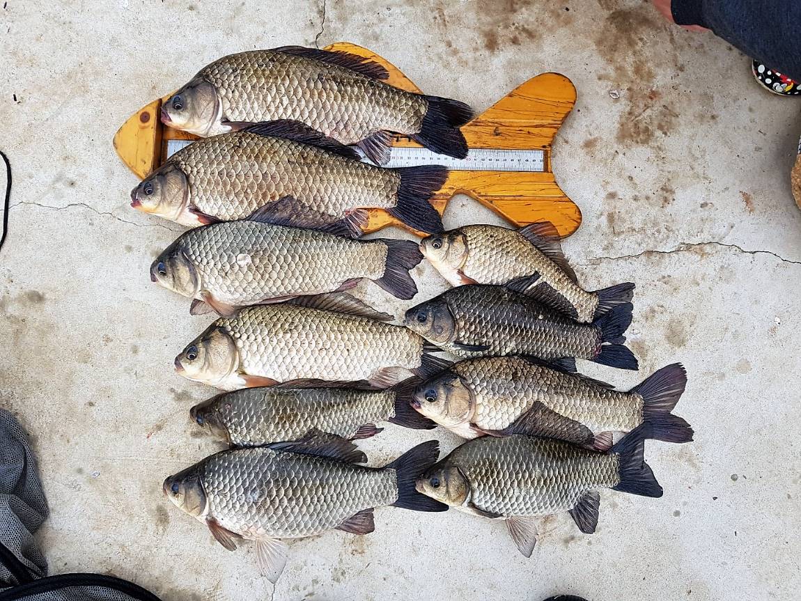 KakaoTalk_20180423_113014679.jpg