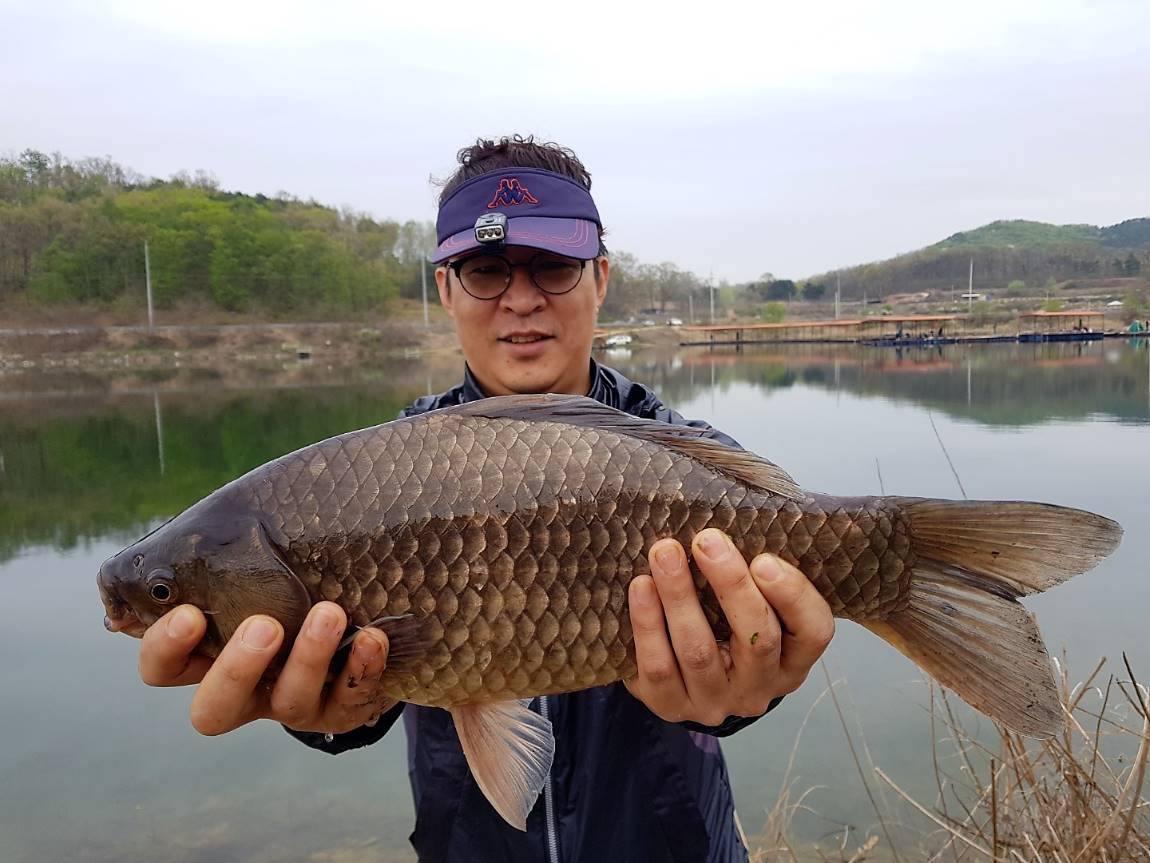 KakaoTalk_20180423_112806909.jpg