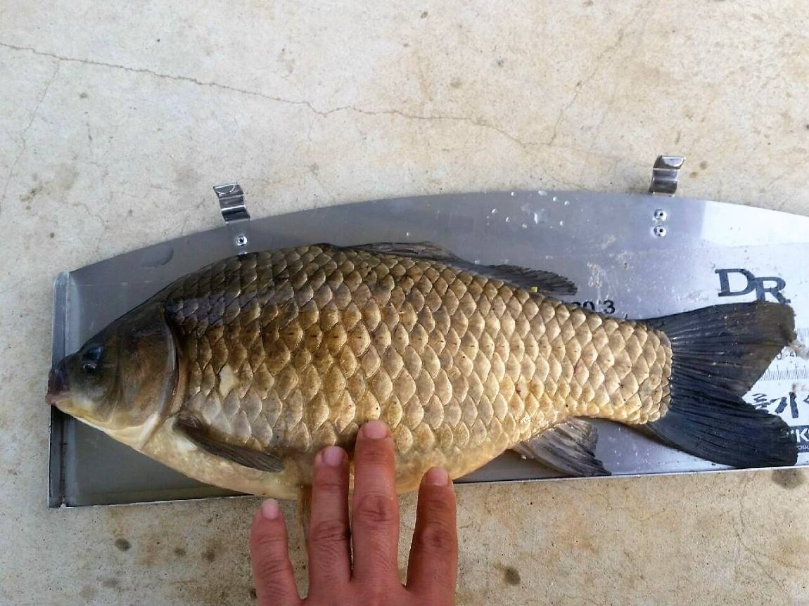 29.jpg