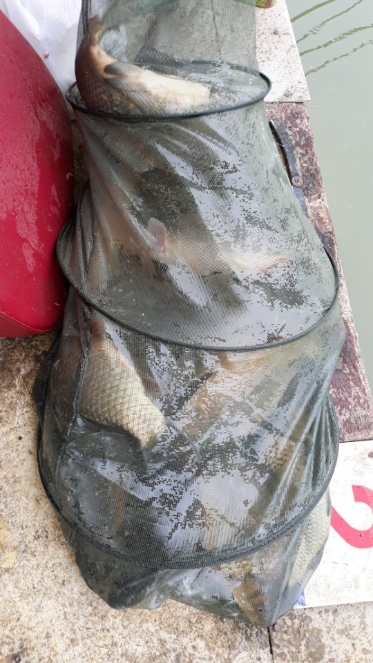KakaoTalk_20180501_165814732.jpg