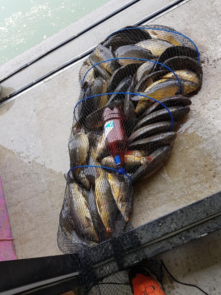 KakaoTalk_20180507_132045779.jpg