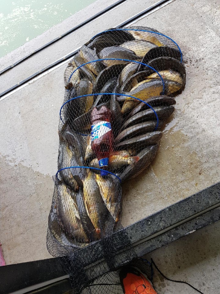 KakaoTalk_20180507_132046209.jpg