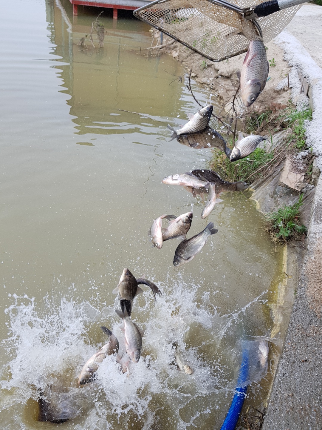 KakaoTalk_20180521_163549746.jpg