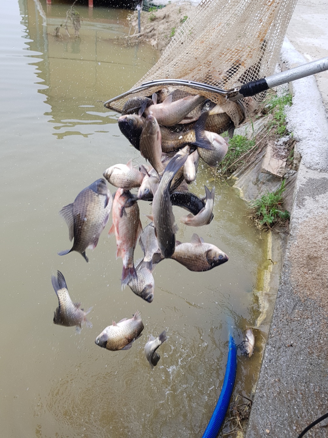 KakaoTalk_20180521_163549270.jpg