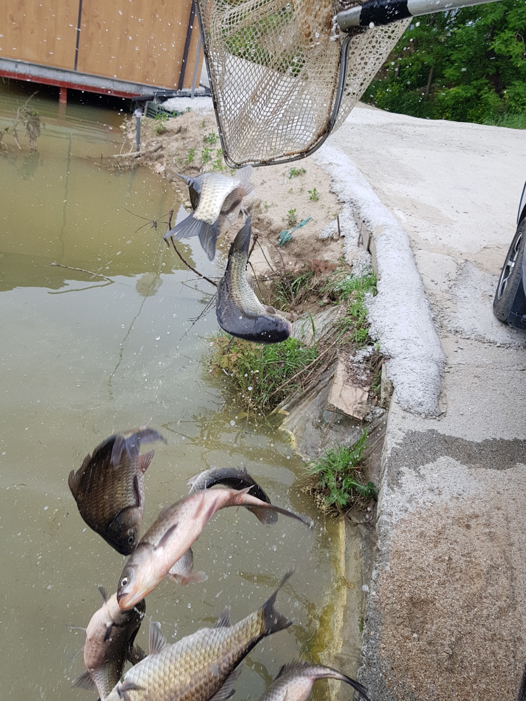 KakaoTalk_20180521_163550272.jpg