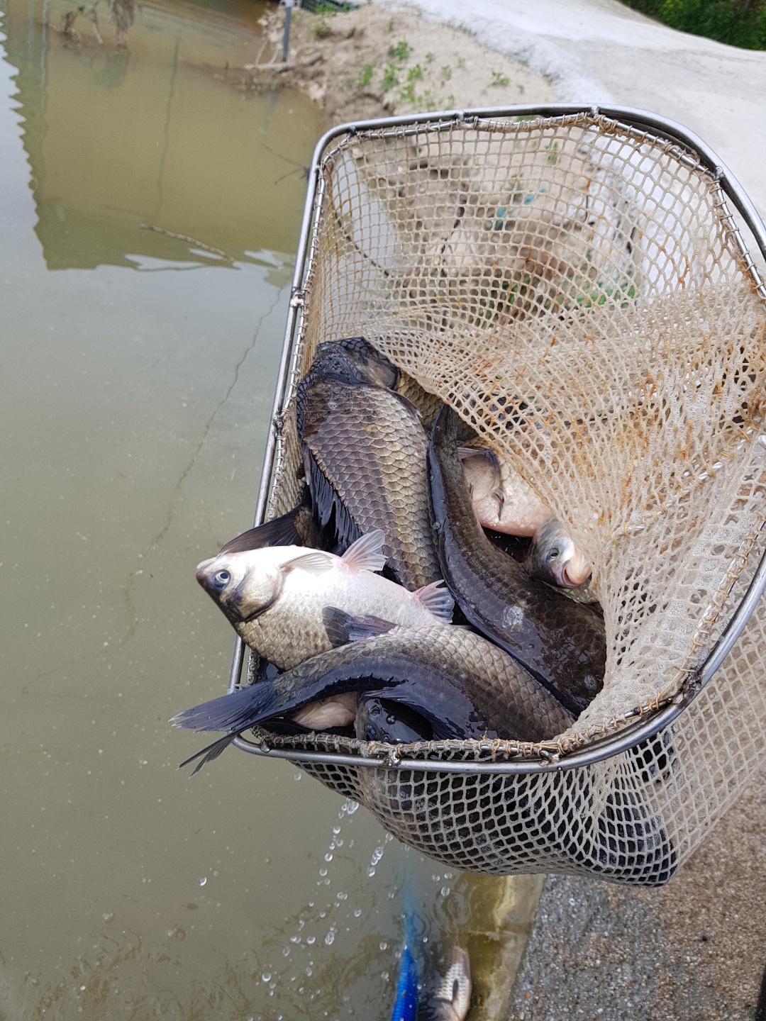 KakaoTalk_20180521_163551714.jpg