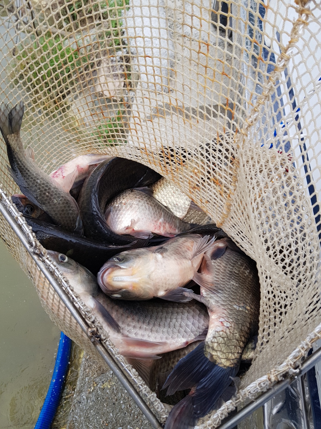 KakaoTalk_20180521_163714804.jpg