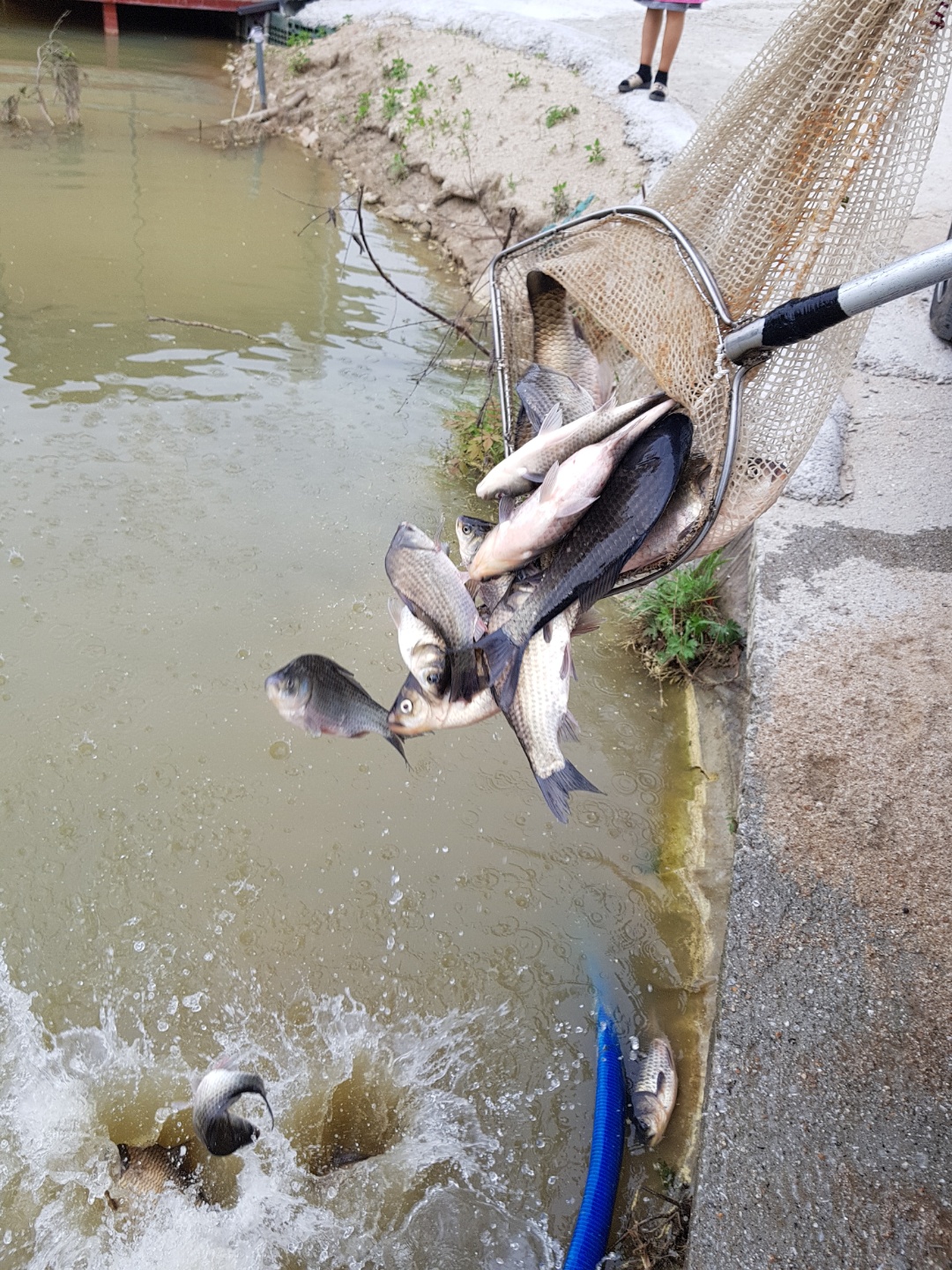 KakaoTalk_20180521_163837643.jpg