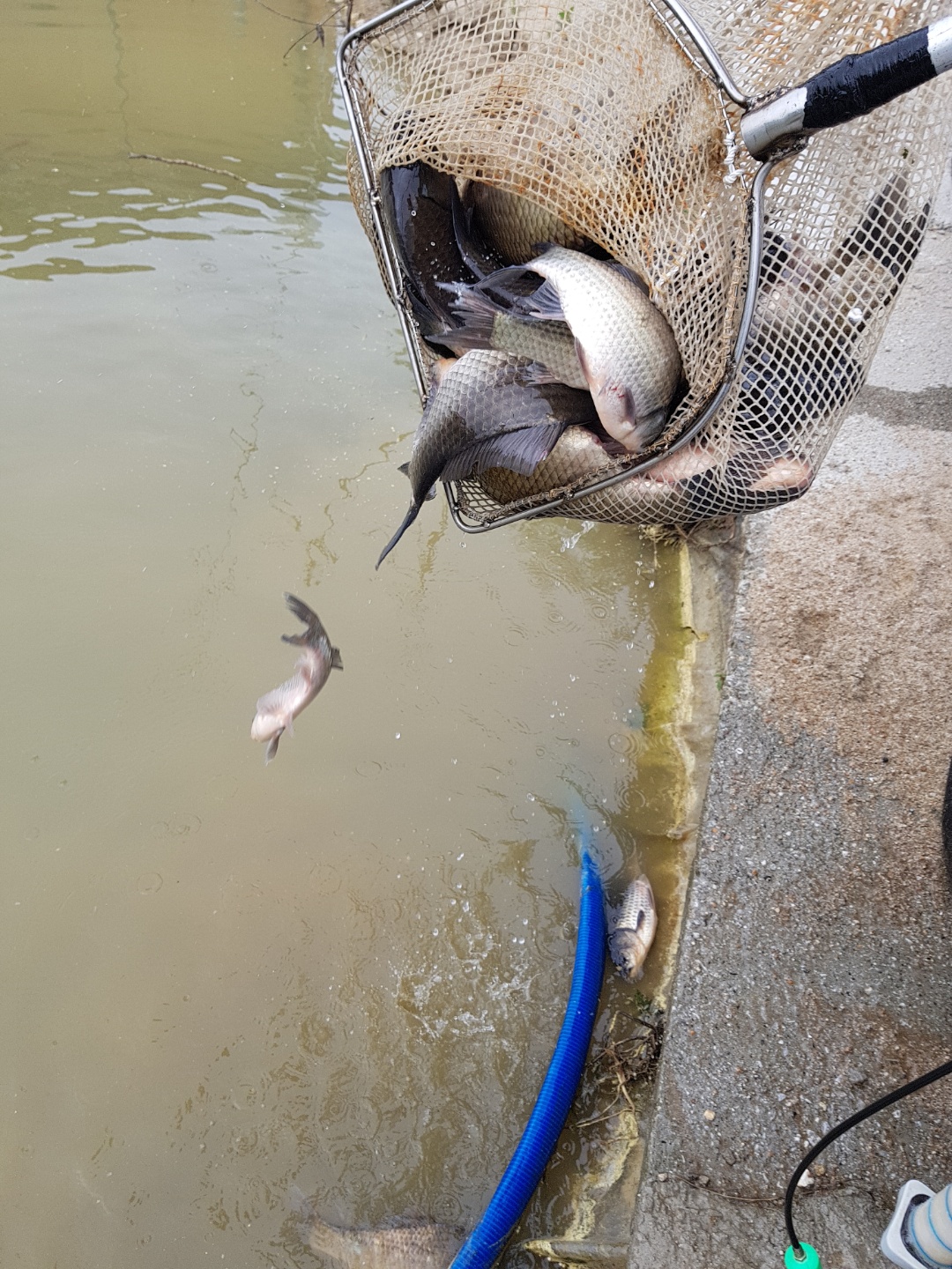 KakaoTalk_20180521_163841745.jpg