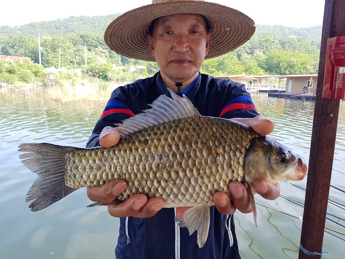 KakaoTalk_20180528_085307887.jpg