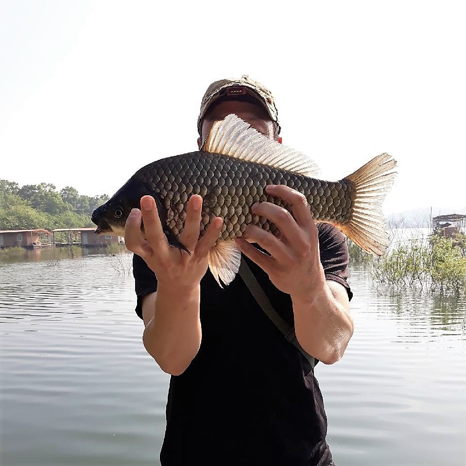 KakaoTalk_20180528_085312991.jpg