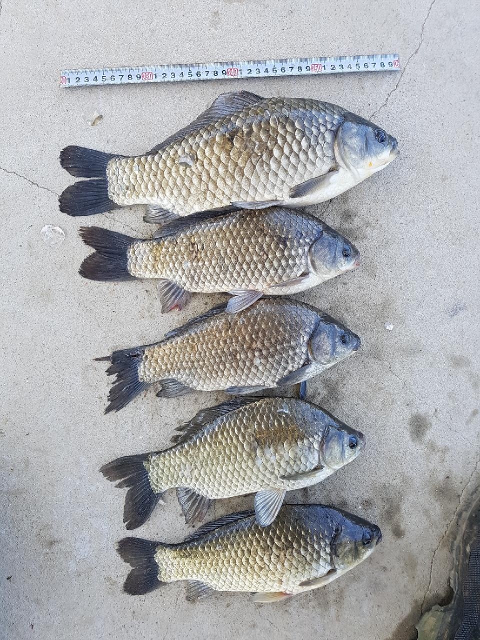 KakaoTalk_20180604_185332433.jpg