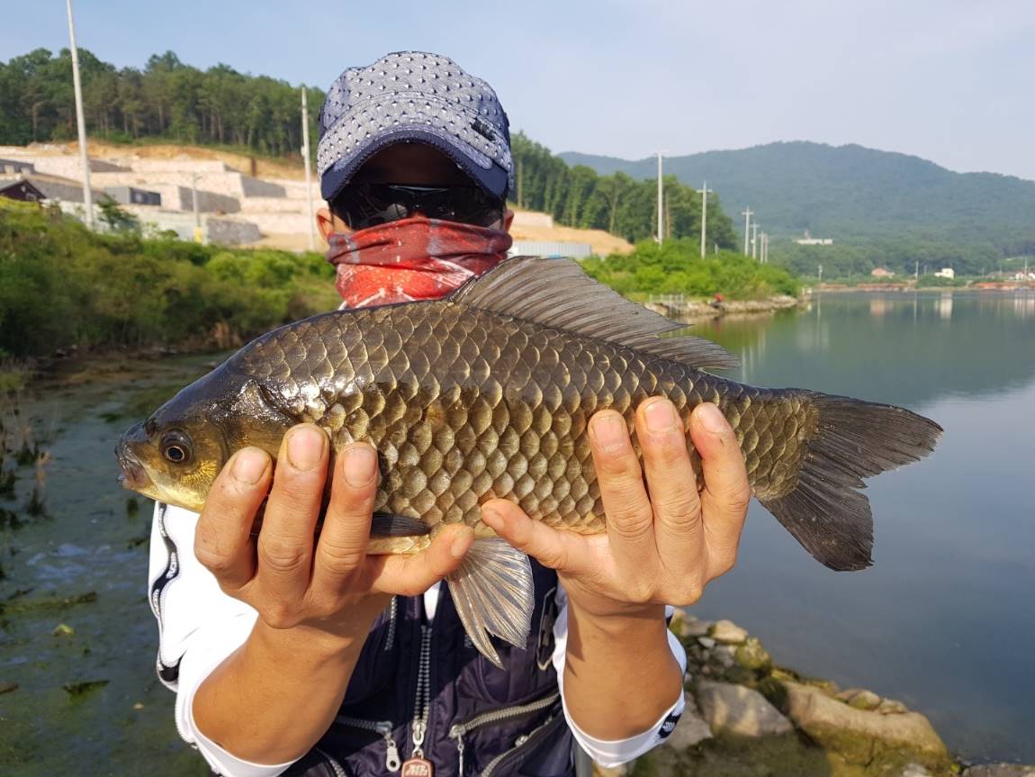 KakaoTalk_20180604_185334081.jpg